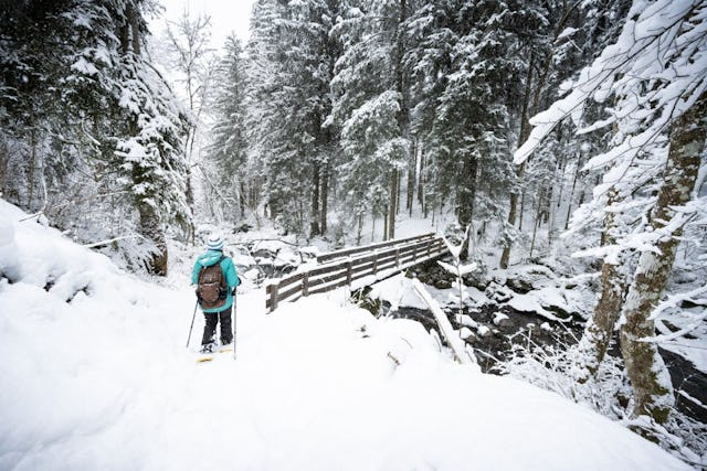 La magie de l’hiver en forêt à Champoussin.