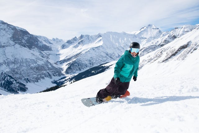 Elm, Snowboard.