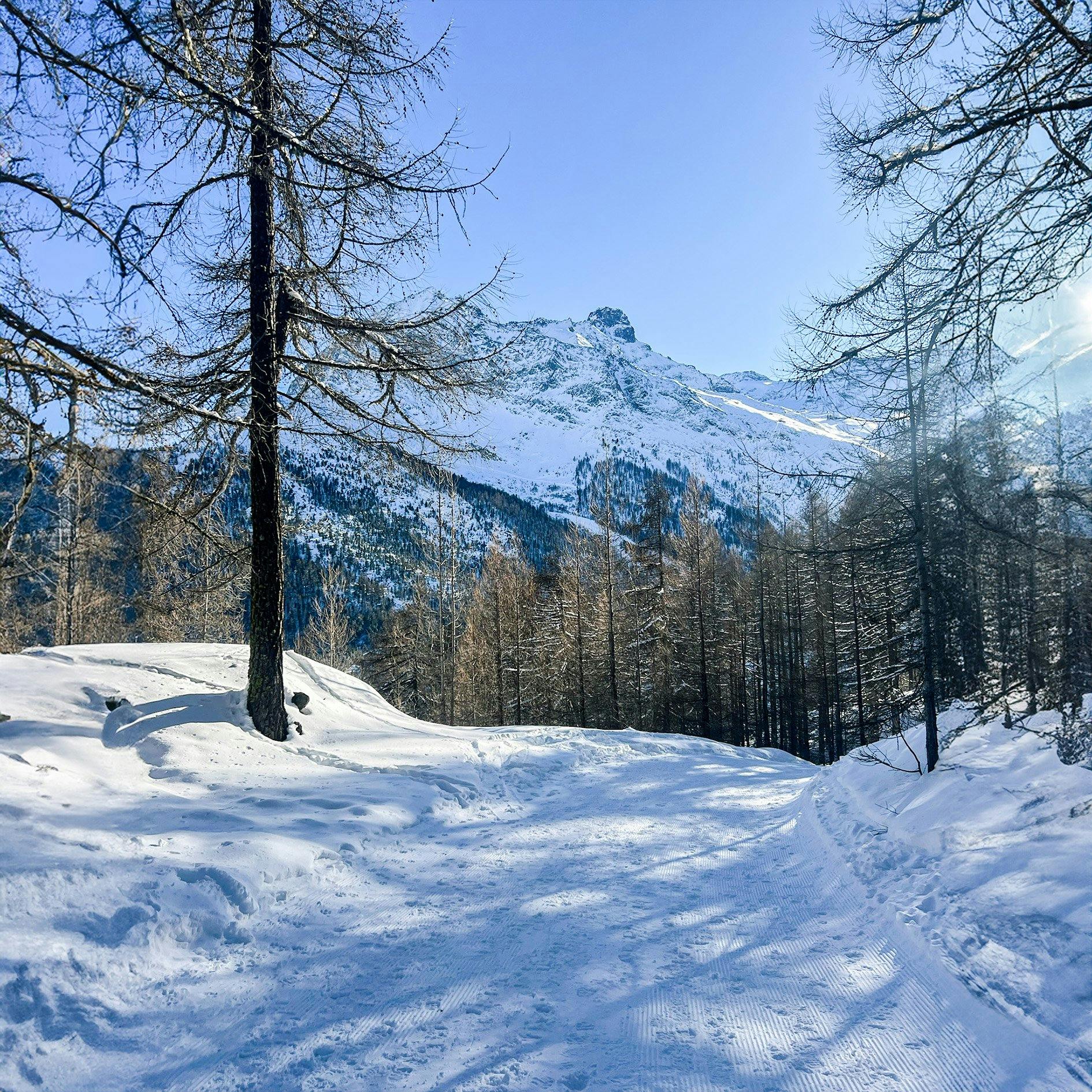 Mein Ego-Spaziergang führt durch einen romantischen Wald – Kitsch pur!