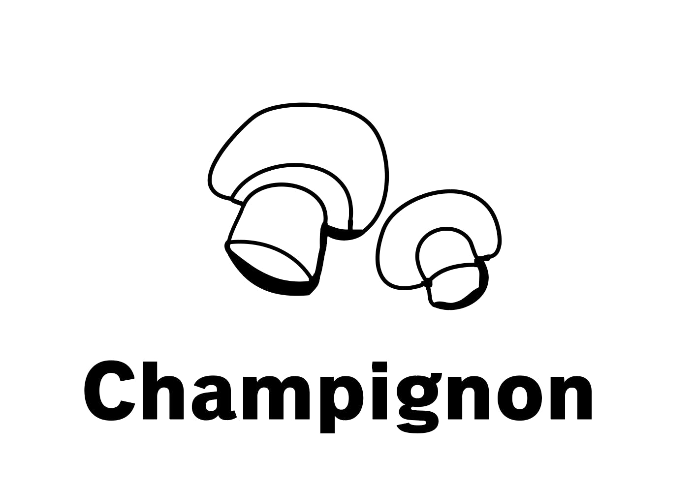 Der leicht nussige Zuchtpilz schmeckt zu Rösti und Omlettes sowie in Saucen oder auf Salaten.