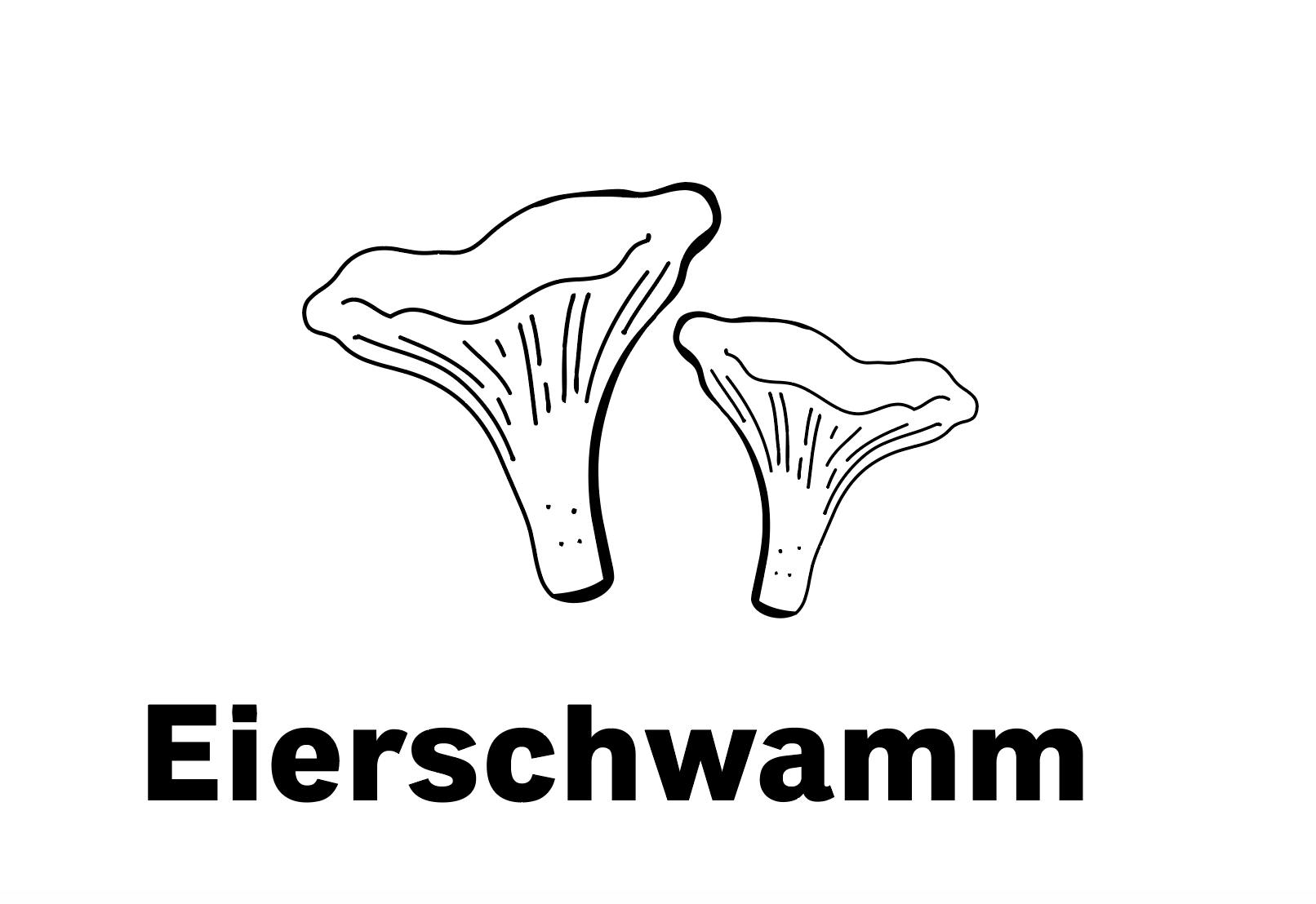 Hat ein mild-pfeffriges, leicht fruchtiges Aroma und eine knackige Konsistenz. Passt zu Fleisch, Pasta und Saucen.