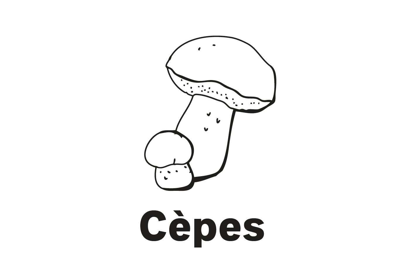 Chair ferme et saveur délicieuse, le roi des champignons est particulièrement succulent passé à la poêle ou ajouté à des soupes, des risottos ou de la...