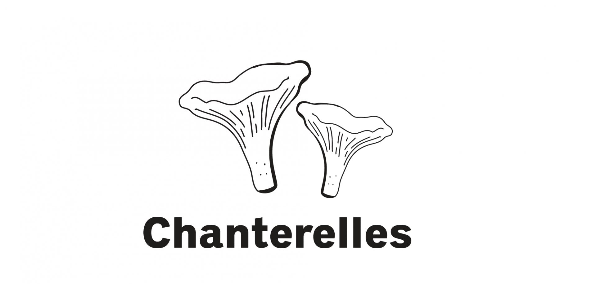 Des arômes délicatement poivrés et une consistance croquante: parfaites pour accompagner la viande, les pâtes ou en sauce.