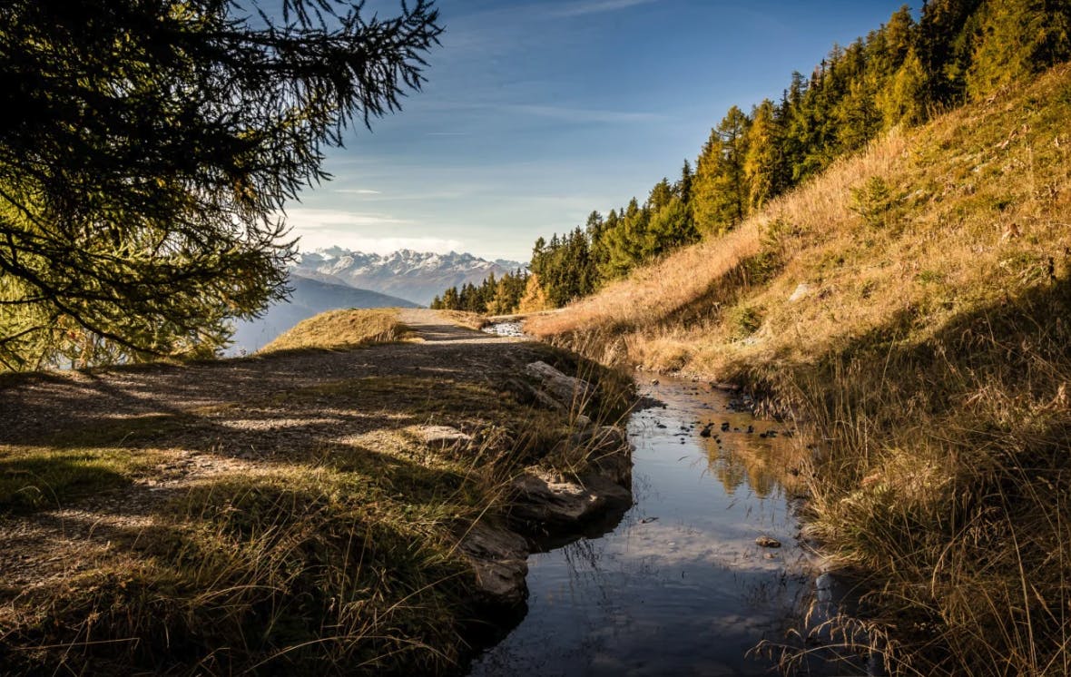 Départ de Crans-Montana jusqu’au hameau de Colombire puis dans la vallée de la Tièche. C’est là que le Tsittoret prend sa source, un bisse qui alimente la région en eau douce des montagnes depuis le XVe siècle. Le parc naturel Espace Grandeur Nature à proximité ne dispose pas de téléskis et ne demande qu’à être découvert. Des vues uniques sur les sommets montagneux des cinq 4000 et un cadre féerique de prairies, de mélèzes et de cascades témoignent de la beauté naturelle du parc. Ici, vous pouvez apprécier les couleurs automnales dans toute leur splendeur.