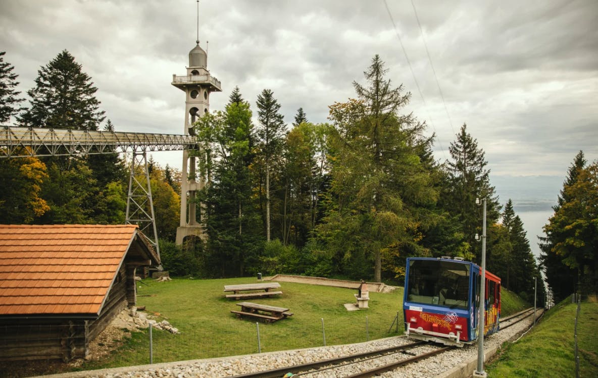Le funiculaire rouge et bleu emmène les voyageurs directement sur la montagne de Neuchâtel, le Chaumont. Au sommet, la tour panoramique offre une vue grandiose sur les Trois-Lacs et les Alpes. On peut ensuite sillonner à pied ou à bicyclette les forêts chatoyantes de couleurs jusqu’à Pré-Louiset.

Le lieu est parfait pour savourer un saucisson neuchâtelois enveloppé dans des feuilles de choux autour d’un traditionnel feu d’automne, appelé torrée. Il ne reste plus qu’à laisser son esprit s’évader avant de prendre le chemin du retour vers la ville. 