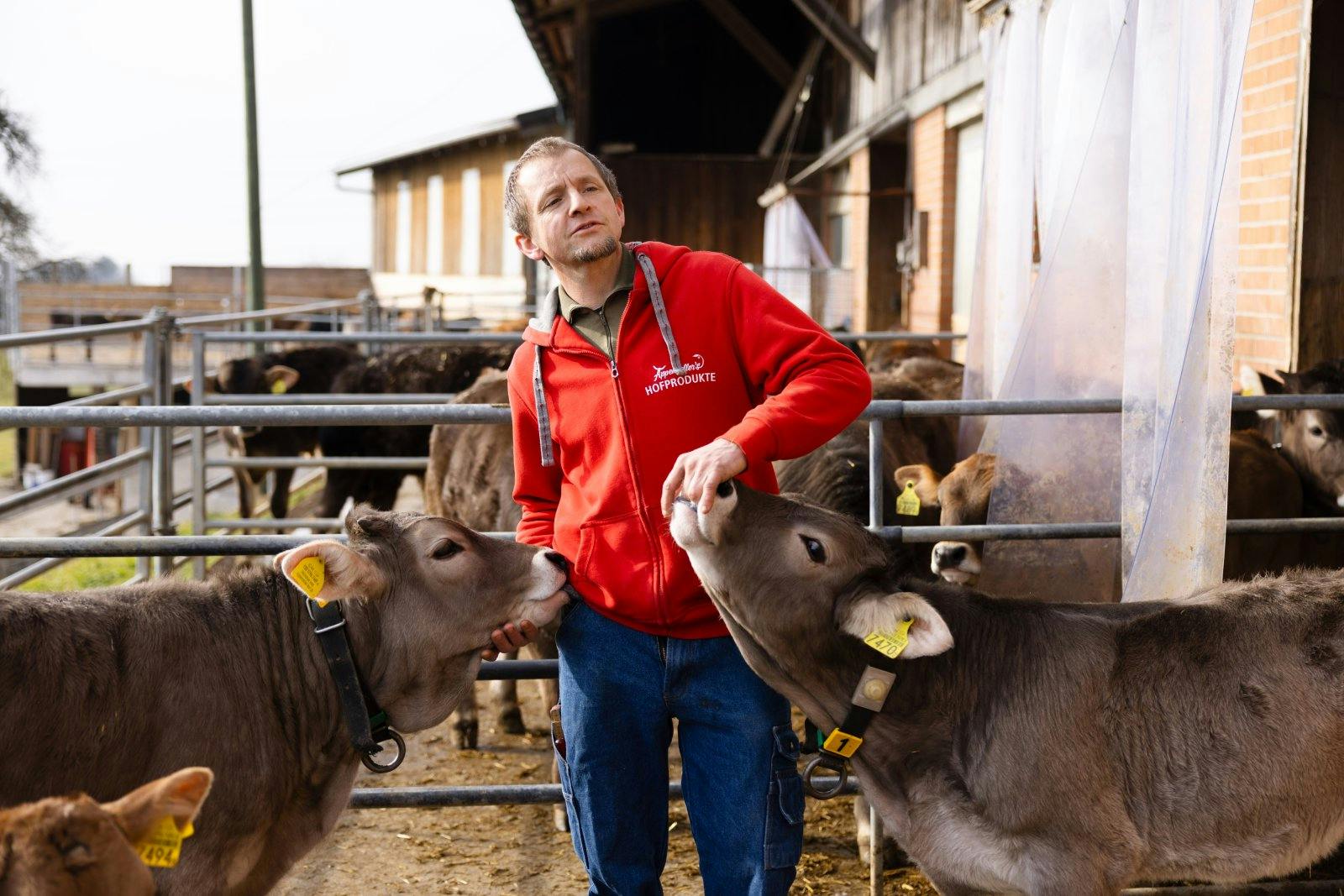 Zu jeder Jahreszeit Auslauf ins Freie: Wie die Kühe leben die Kälber in einem Laufstall – und wann immer möglich auf der Weide.