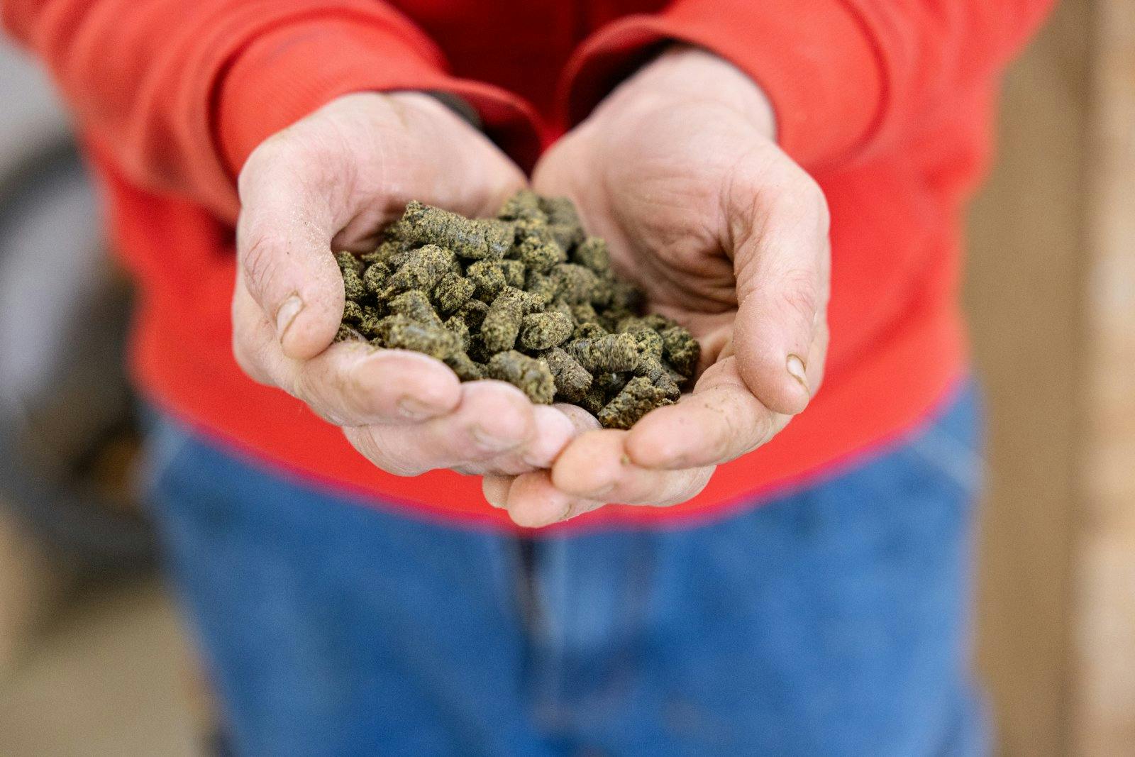 Ganzjährig hochwertiges Futter vom Hof: Florian Appenzeller stellt Graswürfel her, um seine Tiere auch dann mit selbst produzierten Nährstoffen zu ver...