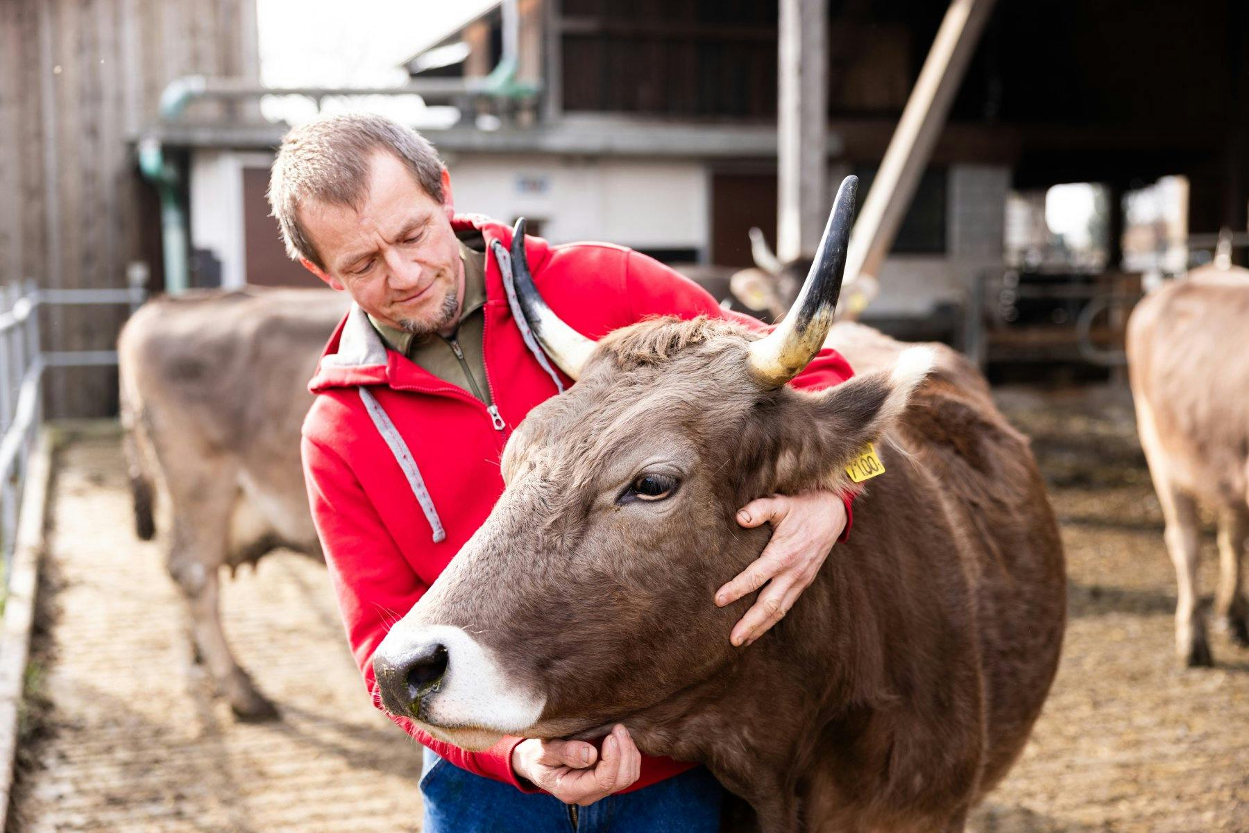 Hat einen persönlichen Bezug zu seinen Kühen: Landwirt Florian Appenzeller schätzt die Tiere der Rasse Schweizer Original Braunvieh.