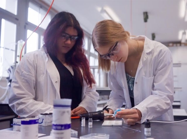 Praxisnahes Lernen: Die NMS Bern begleitet junge Menschen auf dem Weg zur Matura.