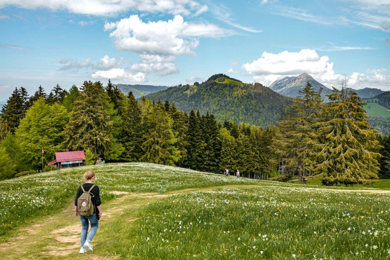 Nur 16 Minuten mit dem Zug von Vevey entfernt liegt Blonay, ein idyllischer Ort mit mittelalterlichen Wurzeln. Das Schloss Blonay, seit 1175 in Famili...