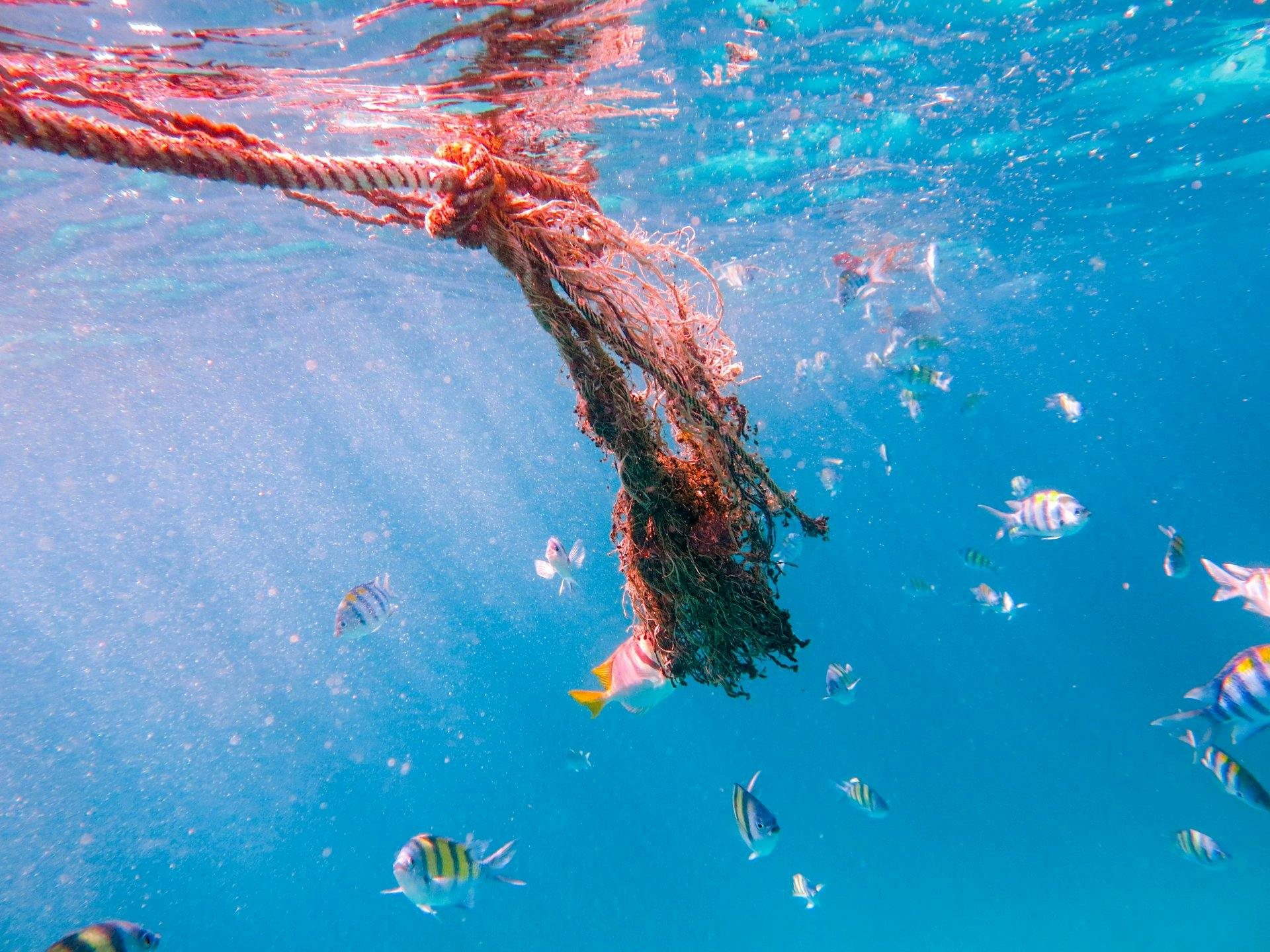 24 Heures Des Filets De Pêche Comme Accessoires De Mode