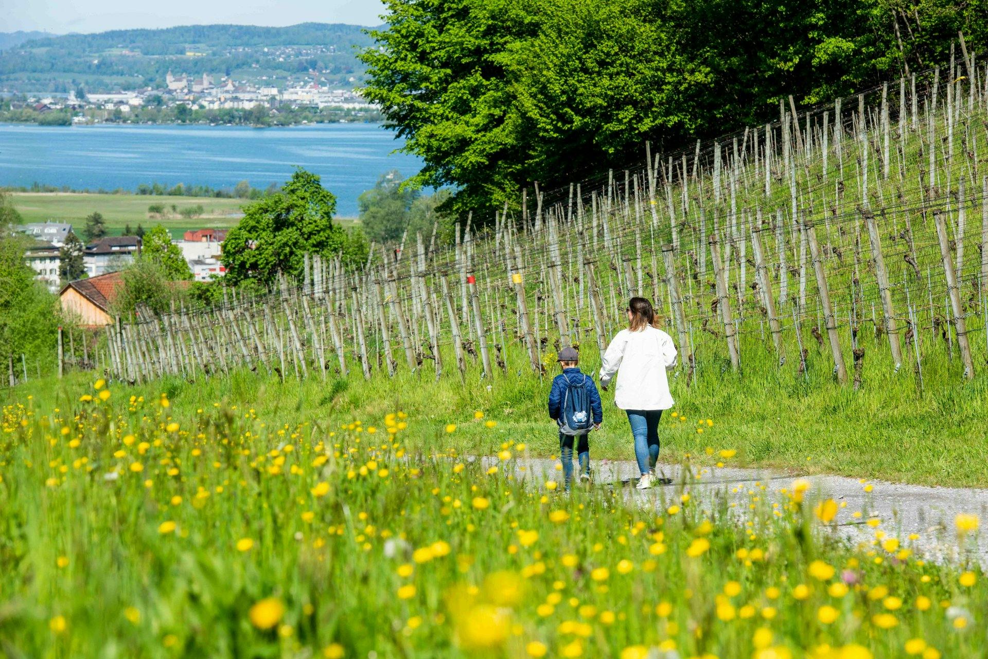 Mit dem Entdeckerrucksack wird aus der Wanderung eine Schatzsuche für Gross und Klein.