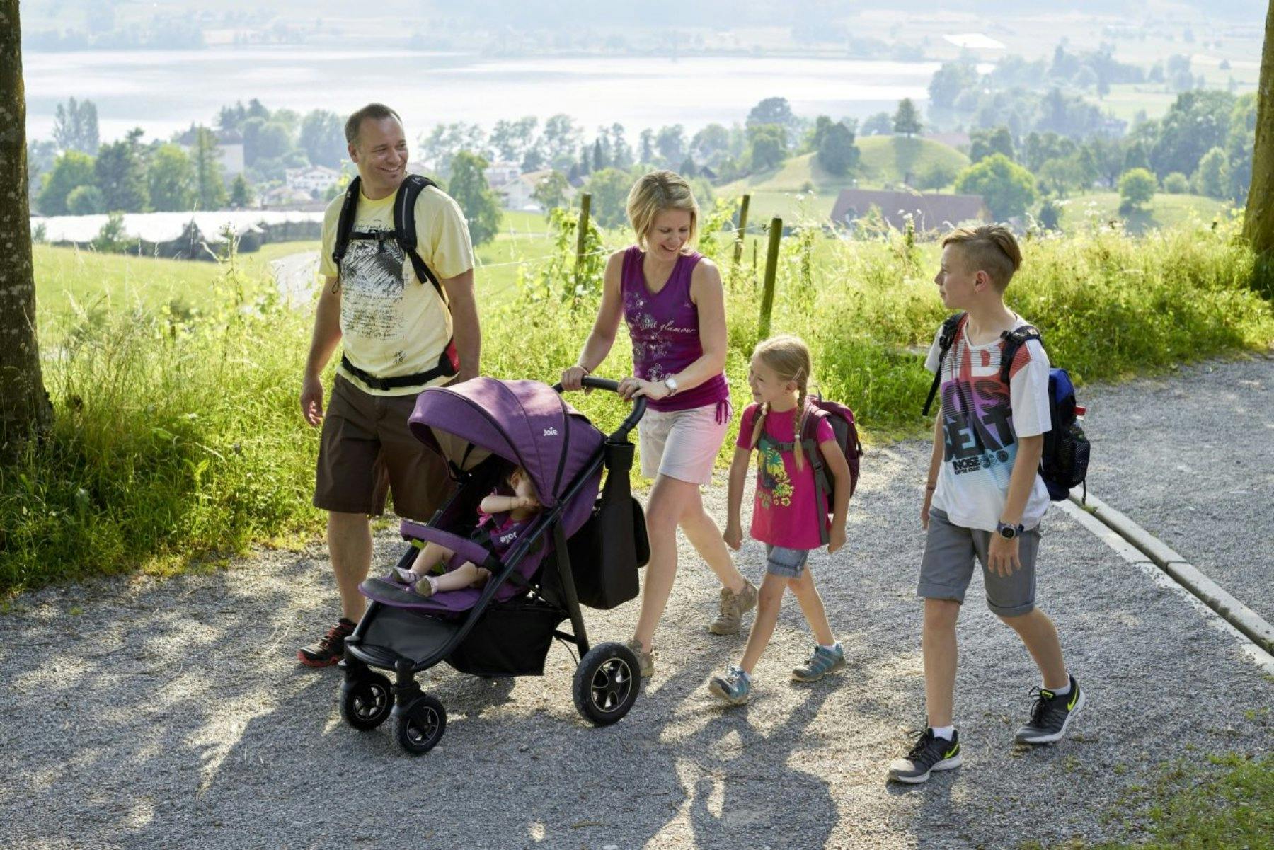 Sentier découverte Pro Natura du lac de Baldegg: de la gare de Hochdorf à Baldegg, un sentier avec cinq stations d’observation invite à observer la na...