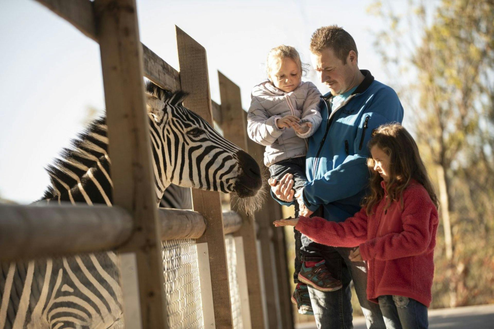 Walter Zoo Gossau: Mehr als 1000 Tiere aus über 100 Arten machen den Walter Zoo zu einem Highlight für die ganze Familie. Ob sibirische Tiger, Schimpa...