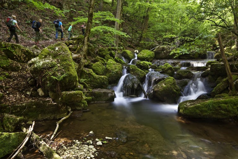 Noch mehr Lust aufs Wandern? Von Biel aus erreichst du mit der Standseilbahn Magglingen. Die Wanderroute führt von dort über den Twannberg und schlies...