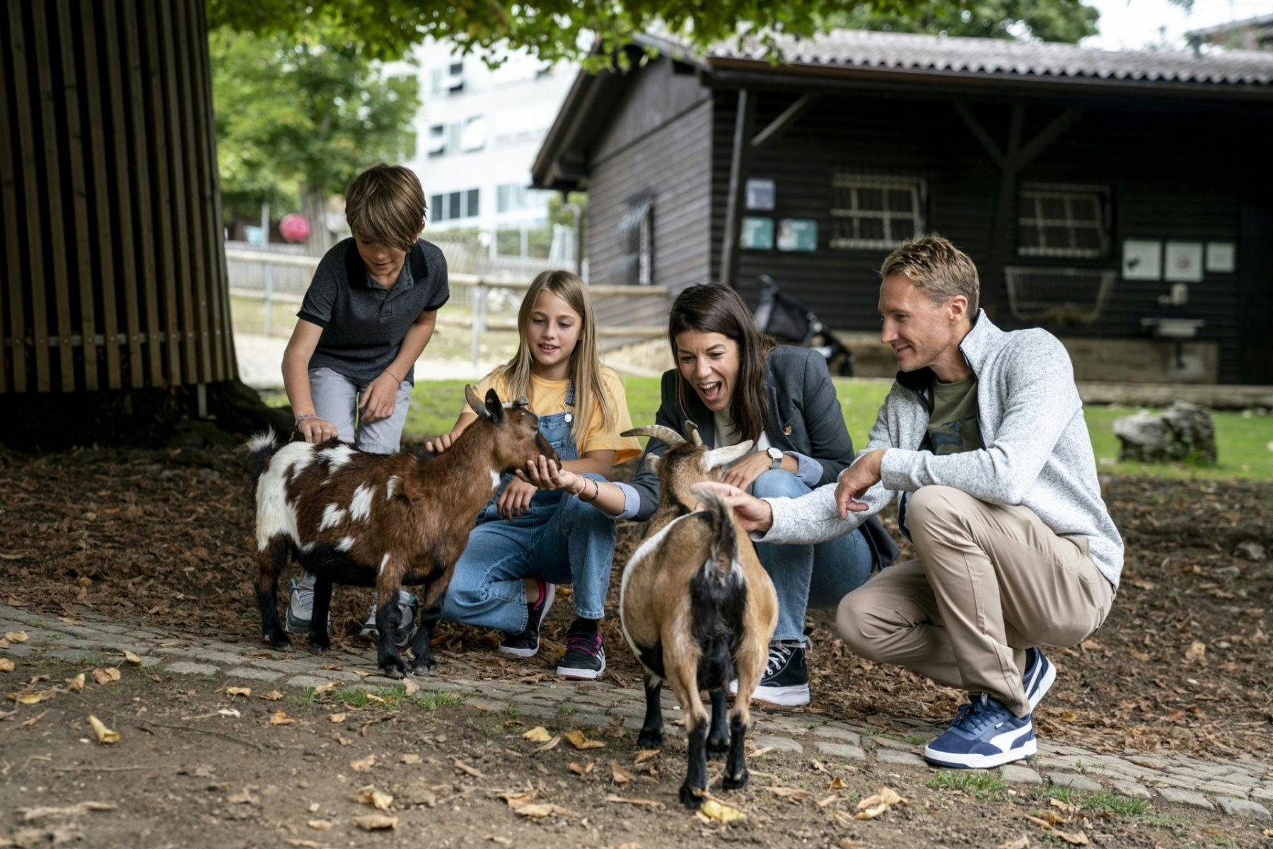 Von St-Imier erreichst du in nur 15 Minuten La Chaux-de-Fonds. Hier erwartet dich im Muzoo ein tierisch gutes Abenteuer: Die innovative Einrichtung ve...