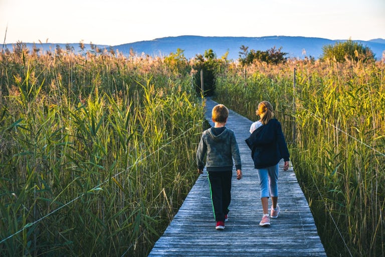 Depuis Yverdon-les-Bains, on peut facilement visiter la Grande Cariçaie. Plus vaste zone marécageuse de Suisse, elle impressionne par son exceptionnel...