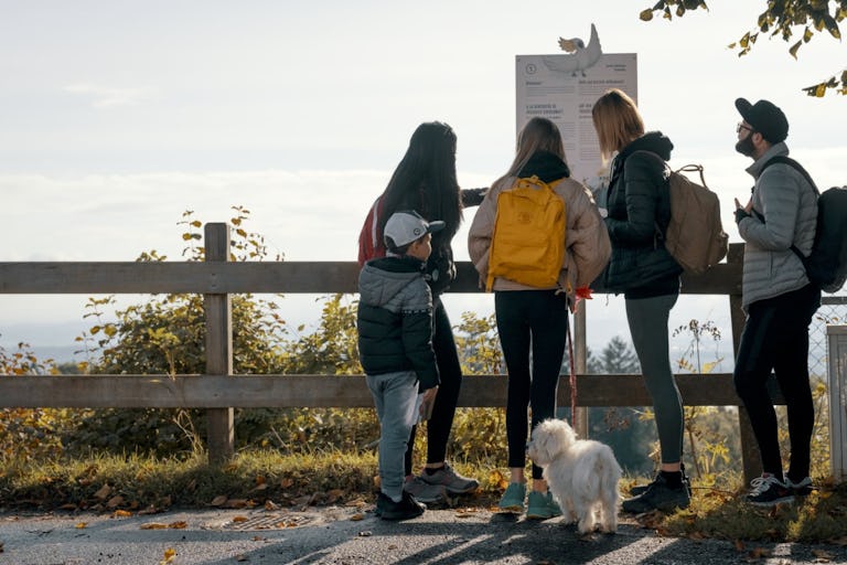 Sur le sentier Dürrenmatt entre Gléresse et Prêles, treize postes font découvrir les multiples facettes du célèbre écrivain, présentées par son cacato...