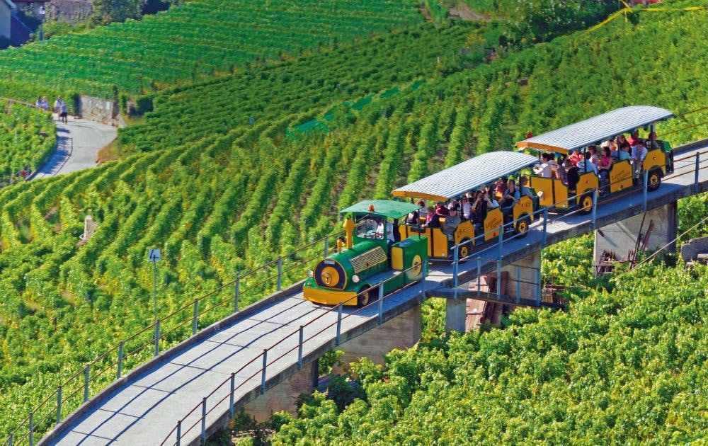 Si tu souhaites découvrir le vignoble de manière encore plus détendue et originale sans te fatiguer au départ de Lutry, monte à bord du Lavaux Express...