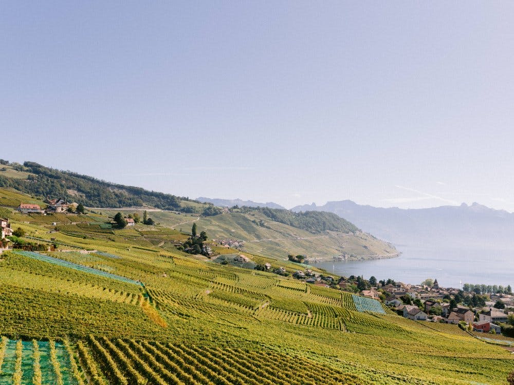 Au cœur des vignes, à seulement 3 minutes en train de la halte de Bossière, Grandvaux surplombe le Léman, offrant une vue imprenable sur les Alpes au...