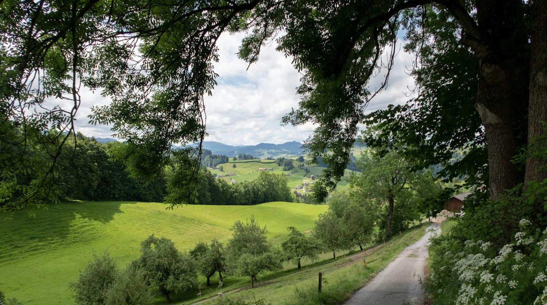 Panoramaweg St. Gallen: Diese Route führt an Wiesen, Weihern und Waldrändern entlang – mit Weitsicht auf Stadt und Klosterbezirk. Ein Geheimtipp von N...