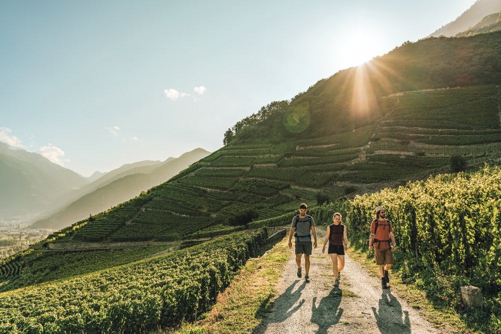 Découvre la Suisse grâce à ces tours en transports publics