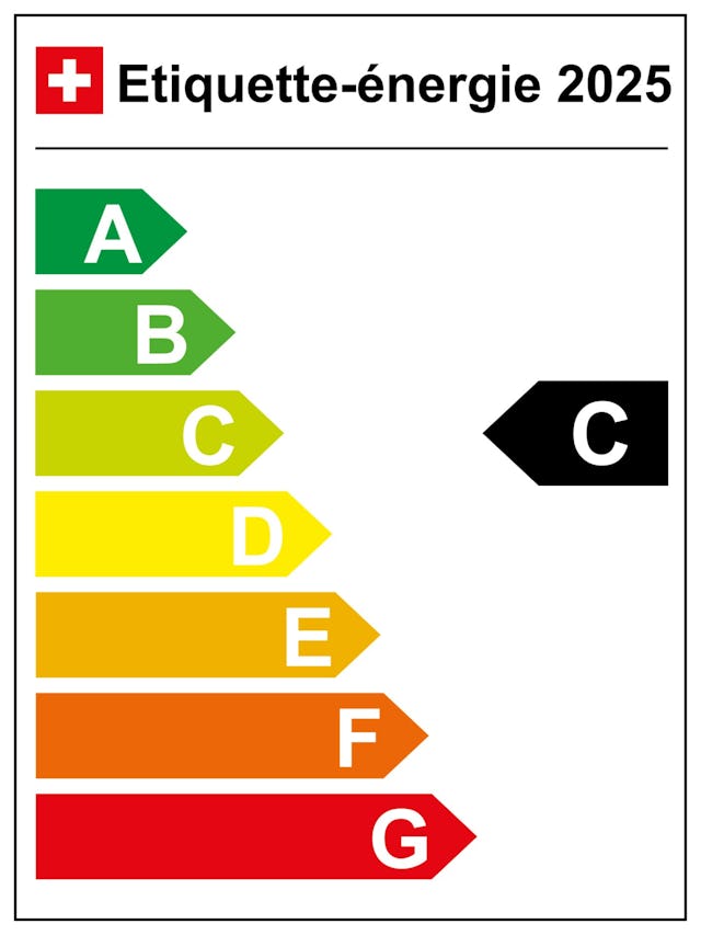 VW ID. Buzz GTX long, 340 ch, 86 kWh, boite automatique a 1 vitesse, 20,6 kWh/100 km, 0 g CO₂/km, cat. C
