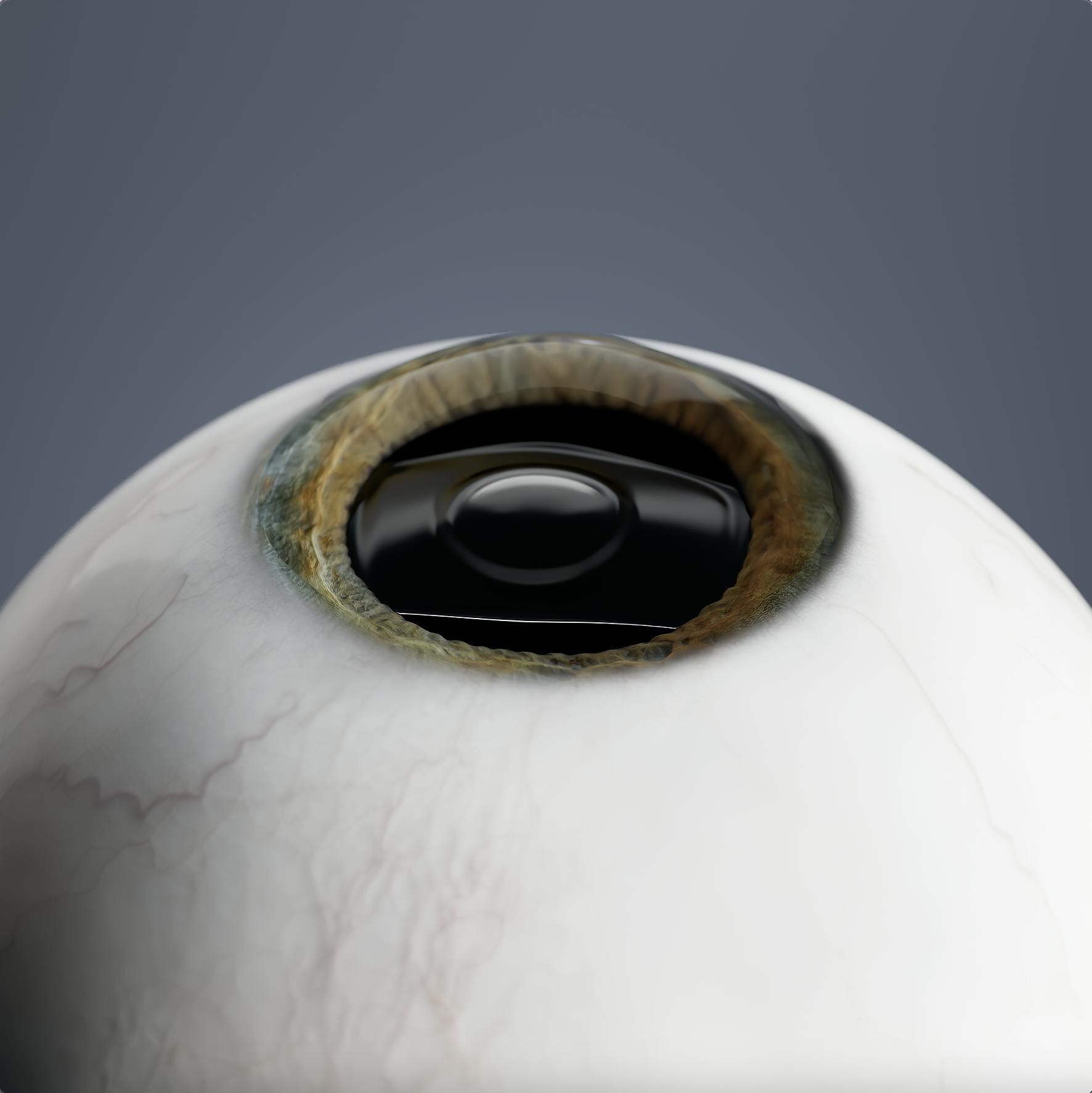 La lentille est placée dans la bonne position et ...