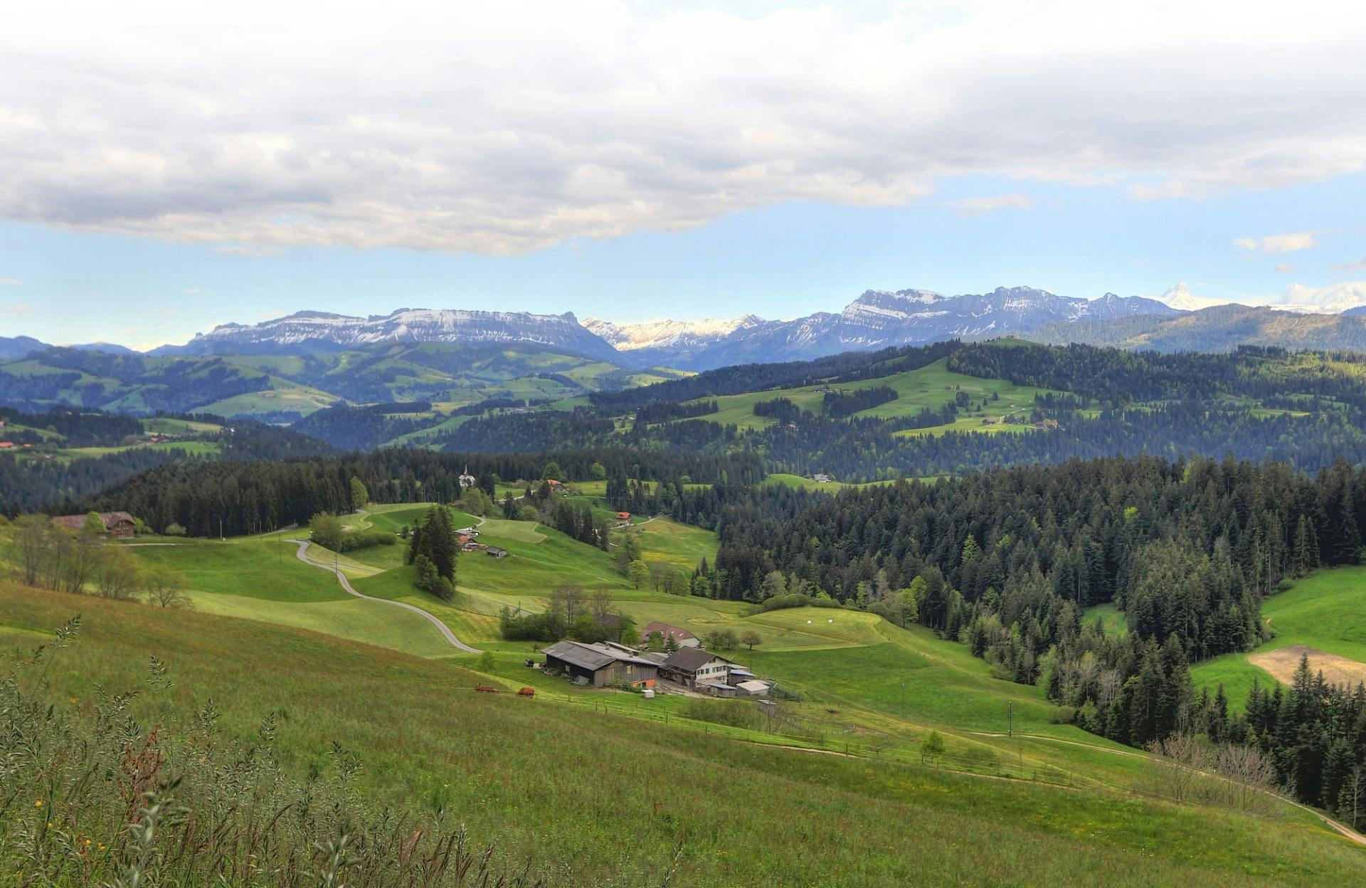 Vom Chuderhüsi-Turm aus hast du eine 360°-Aussicht aufs Emmental, die Alpen und vielleicht sogar bis zum Jura.