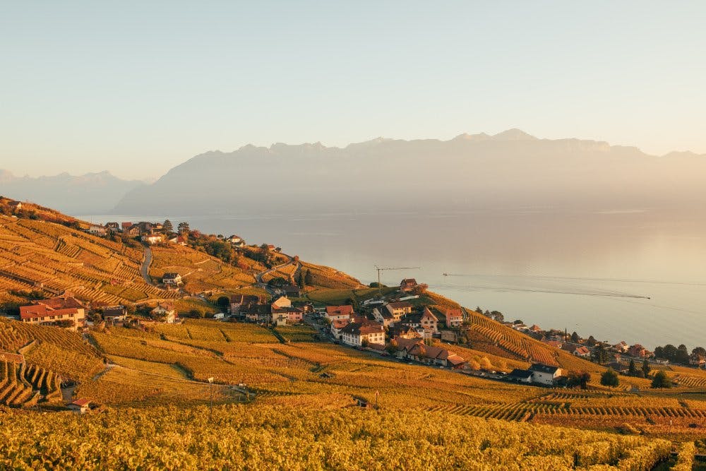De la taille d’une petite ville, facilement accessible à pied depuis la halte de Bossière par une marche agréable d’environ 20 minutes, Lutry fait le...