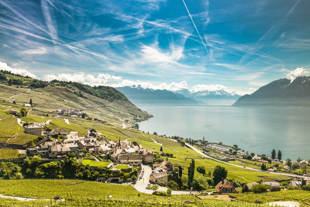 À ne pas manquer: la randonnée de Lutry à Grandvaux. Tout au long de la randonnée, le Léman et les montagnes environnantes composent l’un des plus bea...