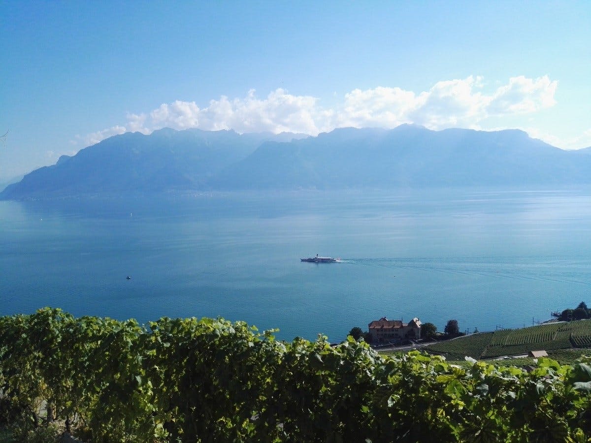 À 5 minutes de l’effervescence lausannoise, vous pouvez descendre à la halte de Bossière, située dans la commune de Lutry. Cet arrêt, se trouvant sur...