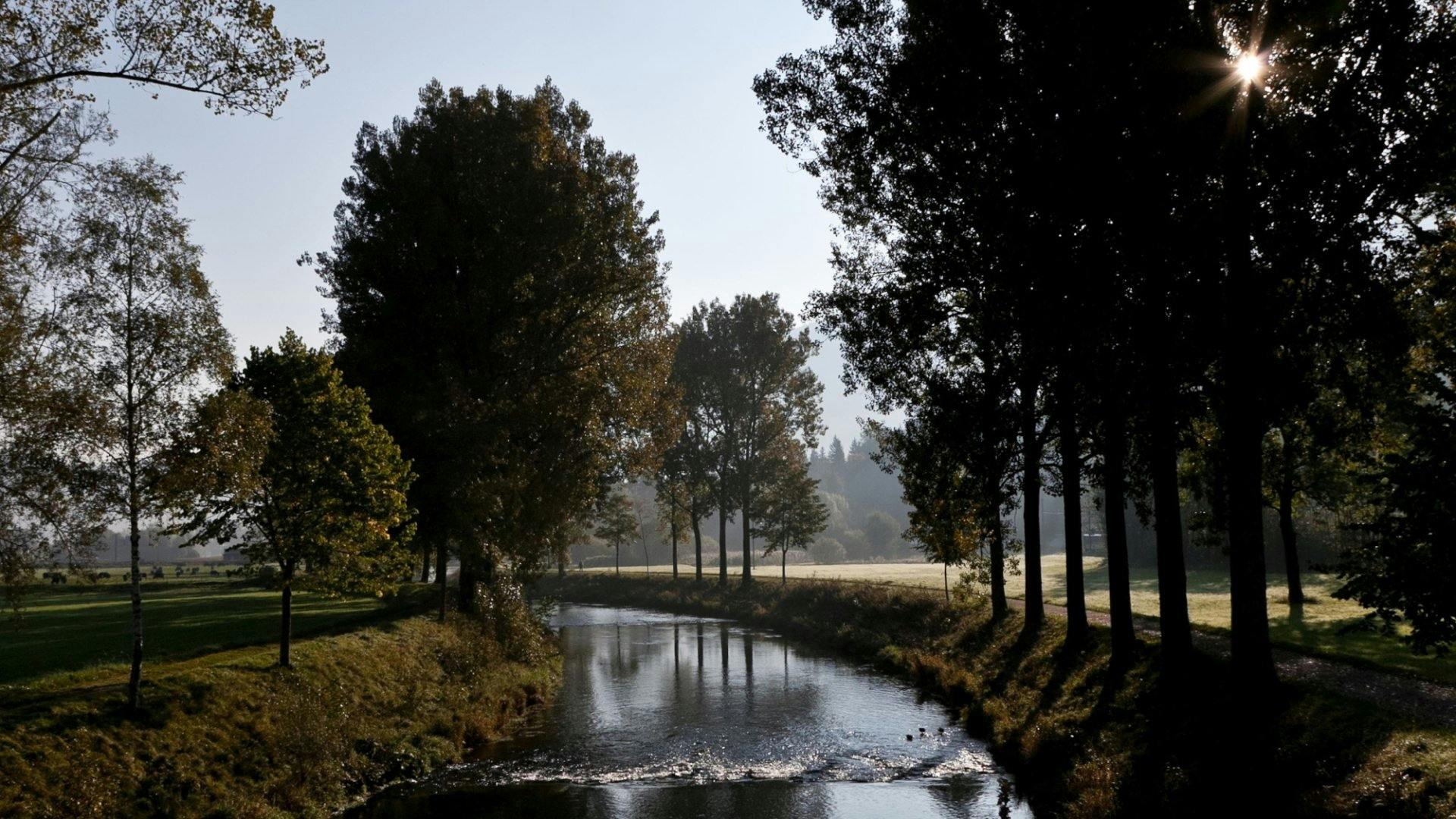 Ein anderer, bezaubernder Wanderweg folgt ab Noiraigue dem teils dahinplätschernden, teils tosenden Wasserlauf der Areuse. Er führt über Steinbrücken,...