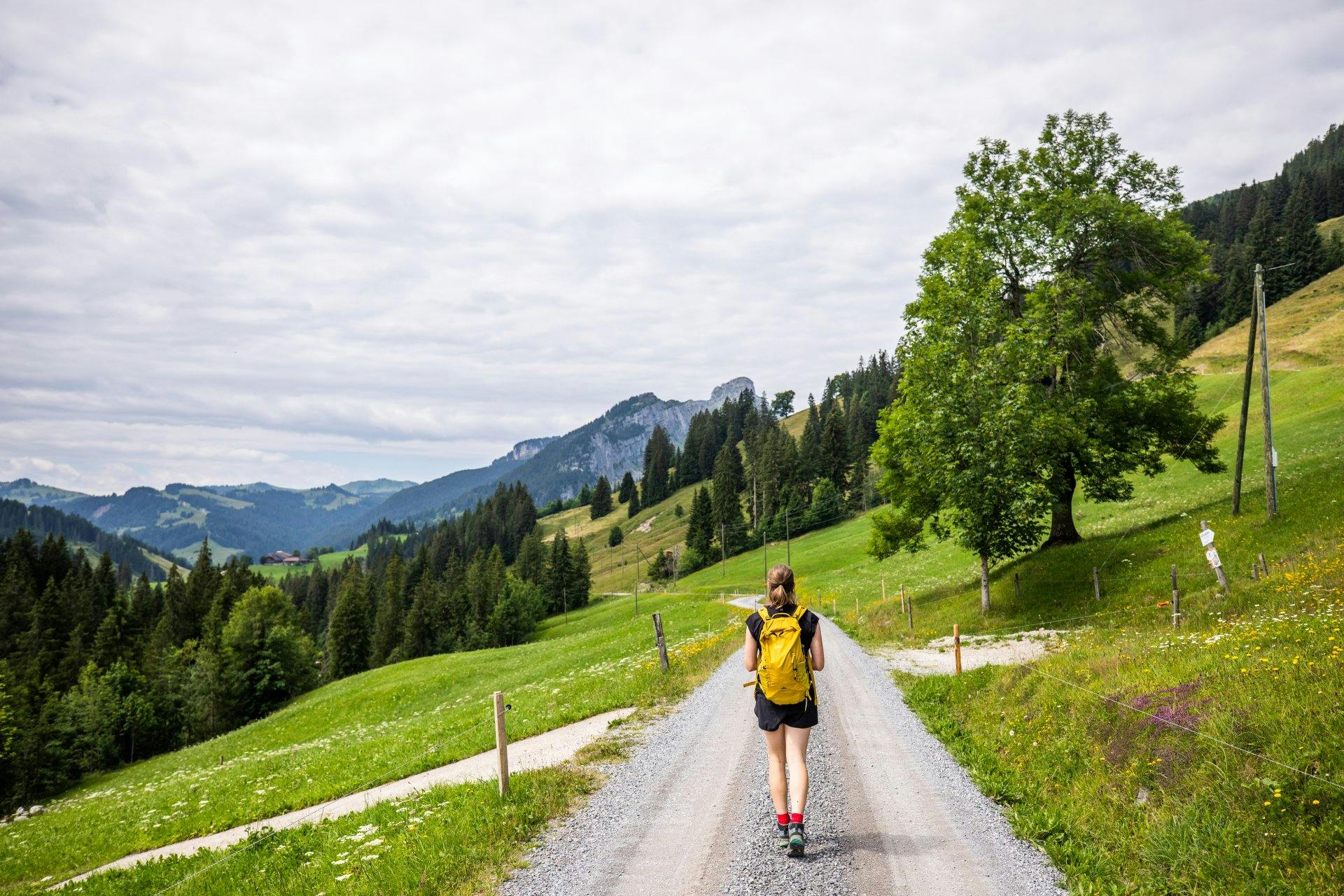 Offene Wiesen, weite Ausblicke: Der Weg Richtung Kemmeriboden ist landschaftlich ein Highlight.