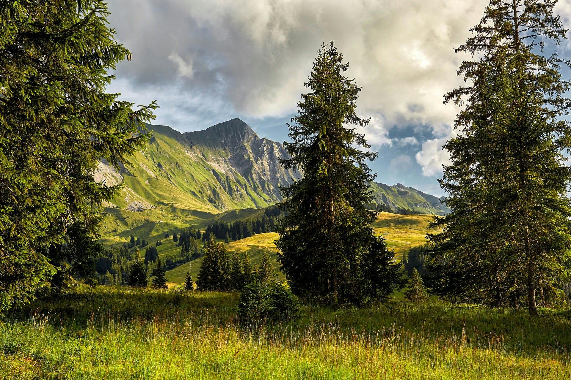 Die Wanderung durch die Biosphäre Entlebuch begeistert mit national bedeutenden Moorlandschaften und Panoramablick.