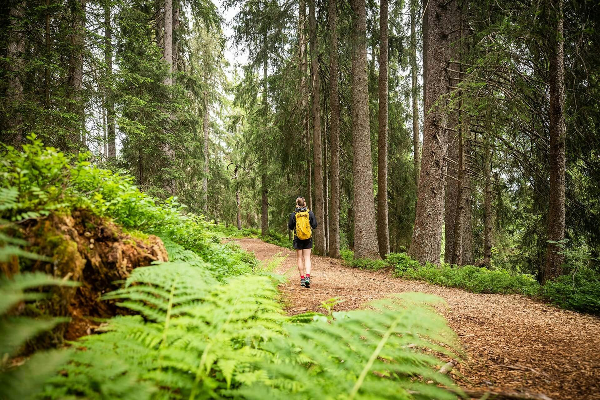 Märchenhafte Waldwege, Moorlandschaften, schroffe Karrenfelder und wilde Bergbäche: Erlebe die Vielfalt der Natur.