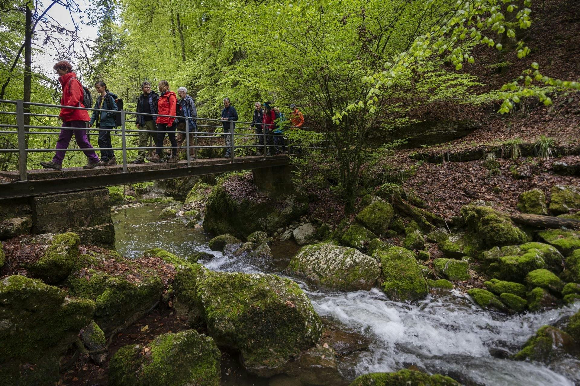 In der Twannbachschlucht wanderst du durch Schatten und Wassernebel.