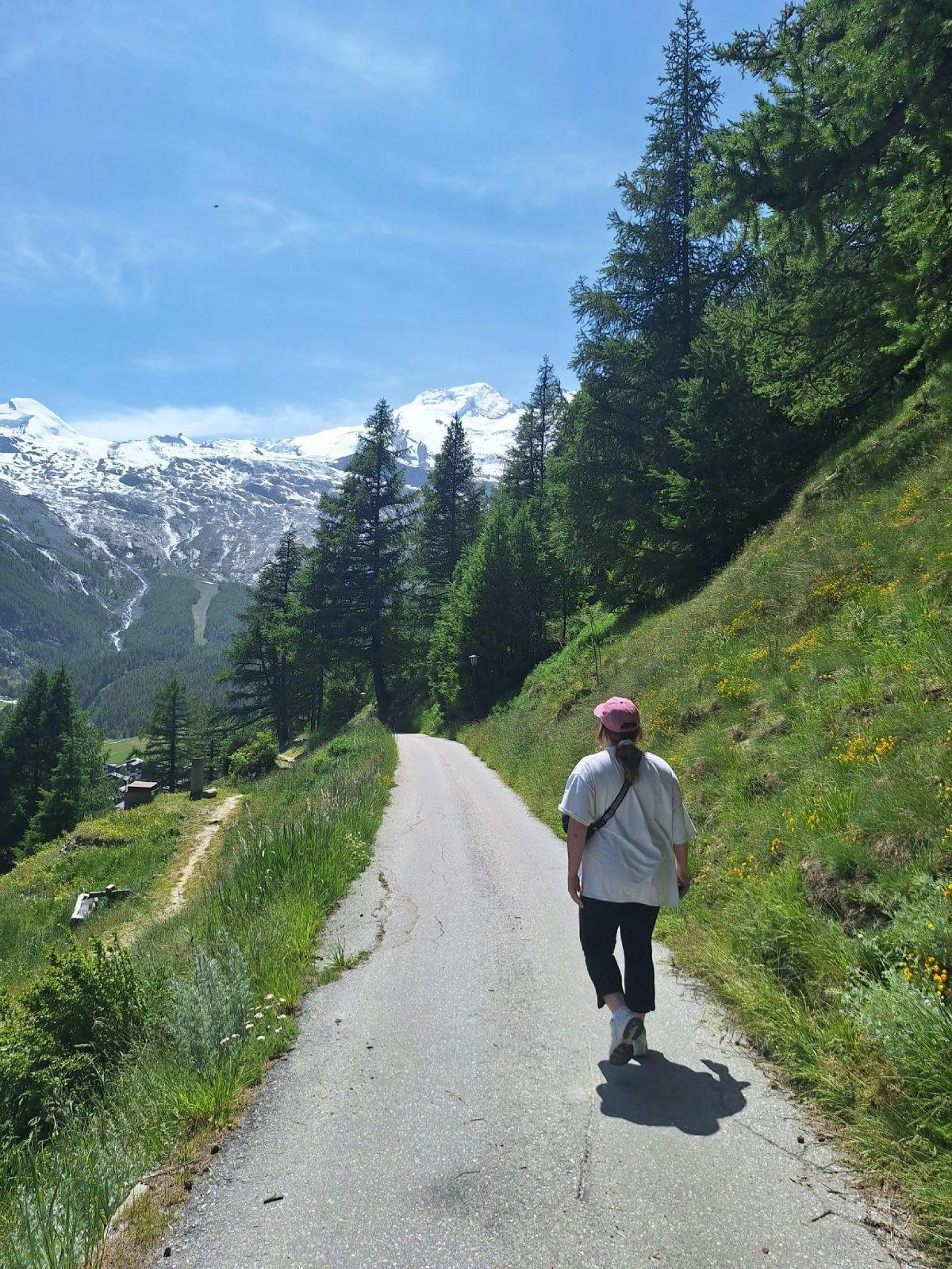Die Wanderung durch Saas-Fee ist so schön. Überall summt und brummt und blüht es!