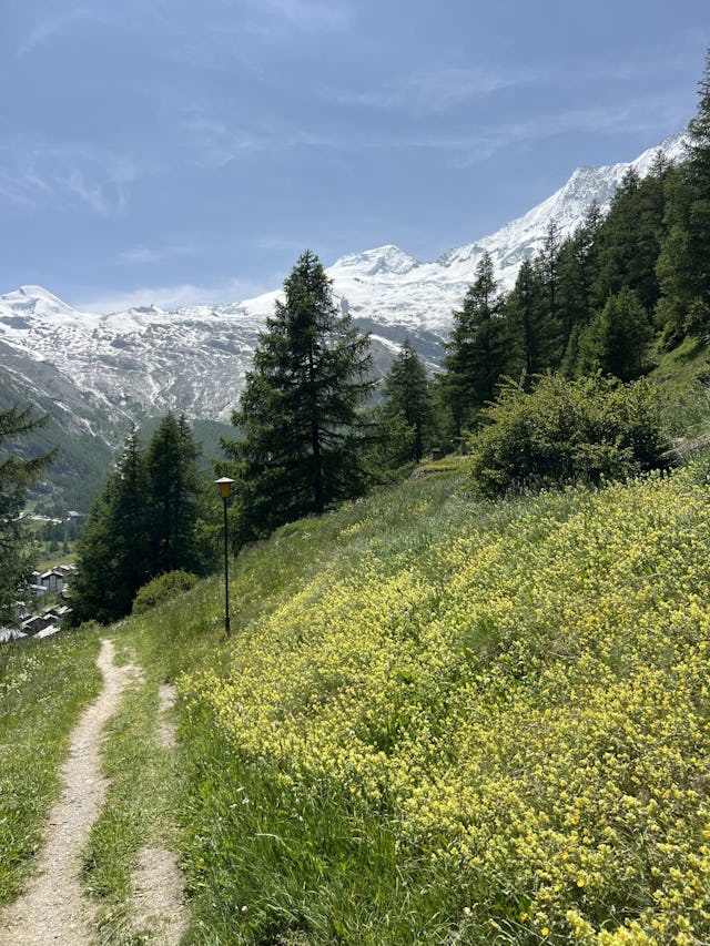 Du darfst das Bild gerne verwenden, falls du ein Postkarten-Motiv brauchst.