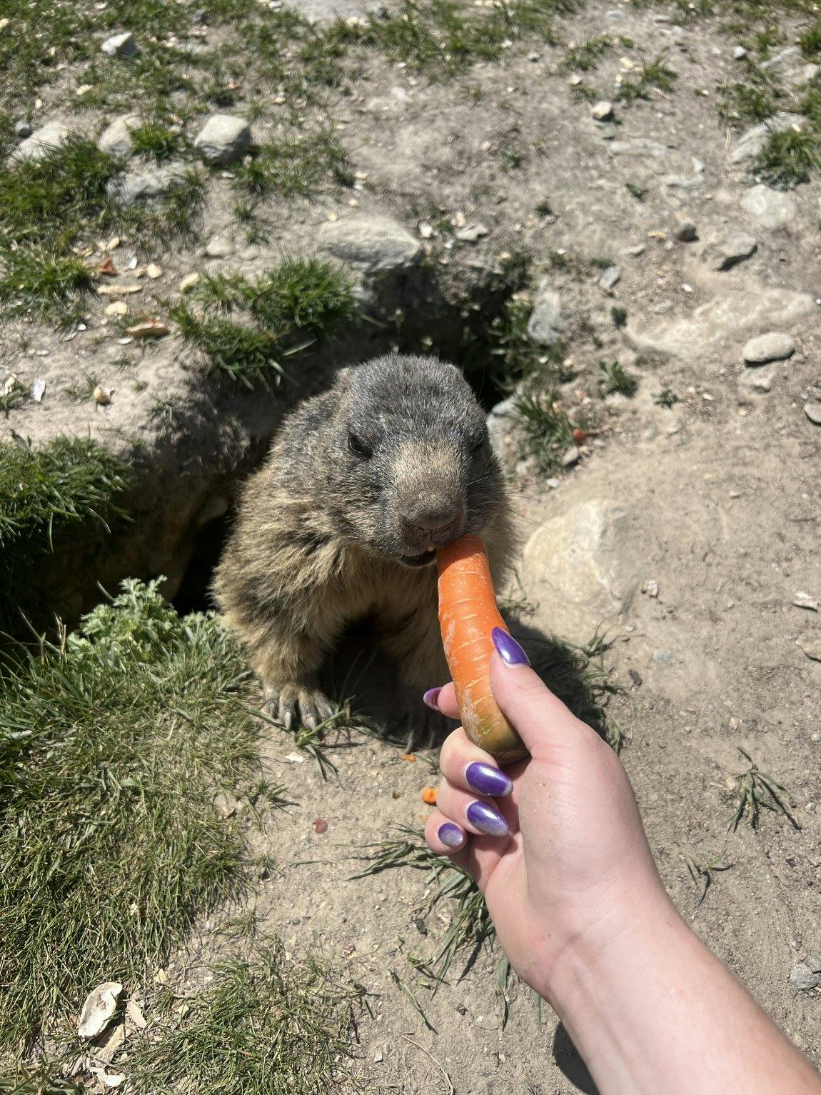 Cuteness overload!!!!