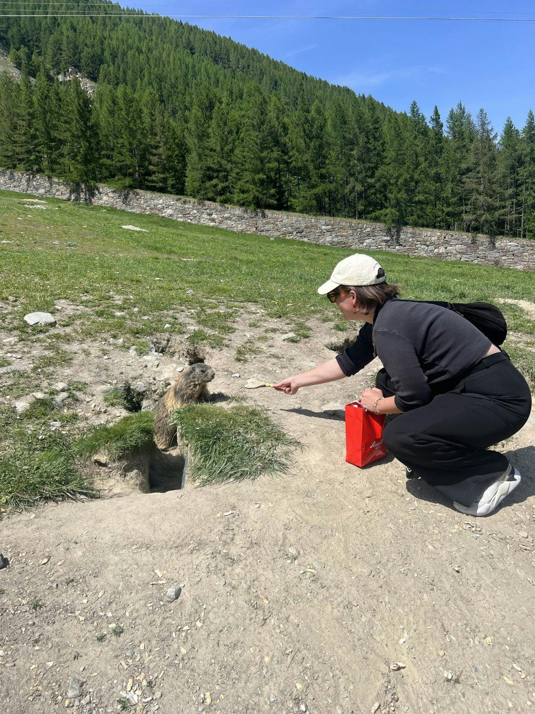 Steffi traut sich ganz leise an das Murmeltier ran.