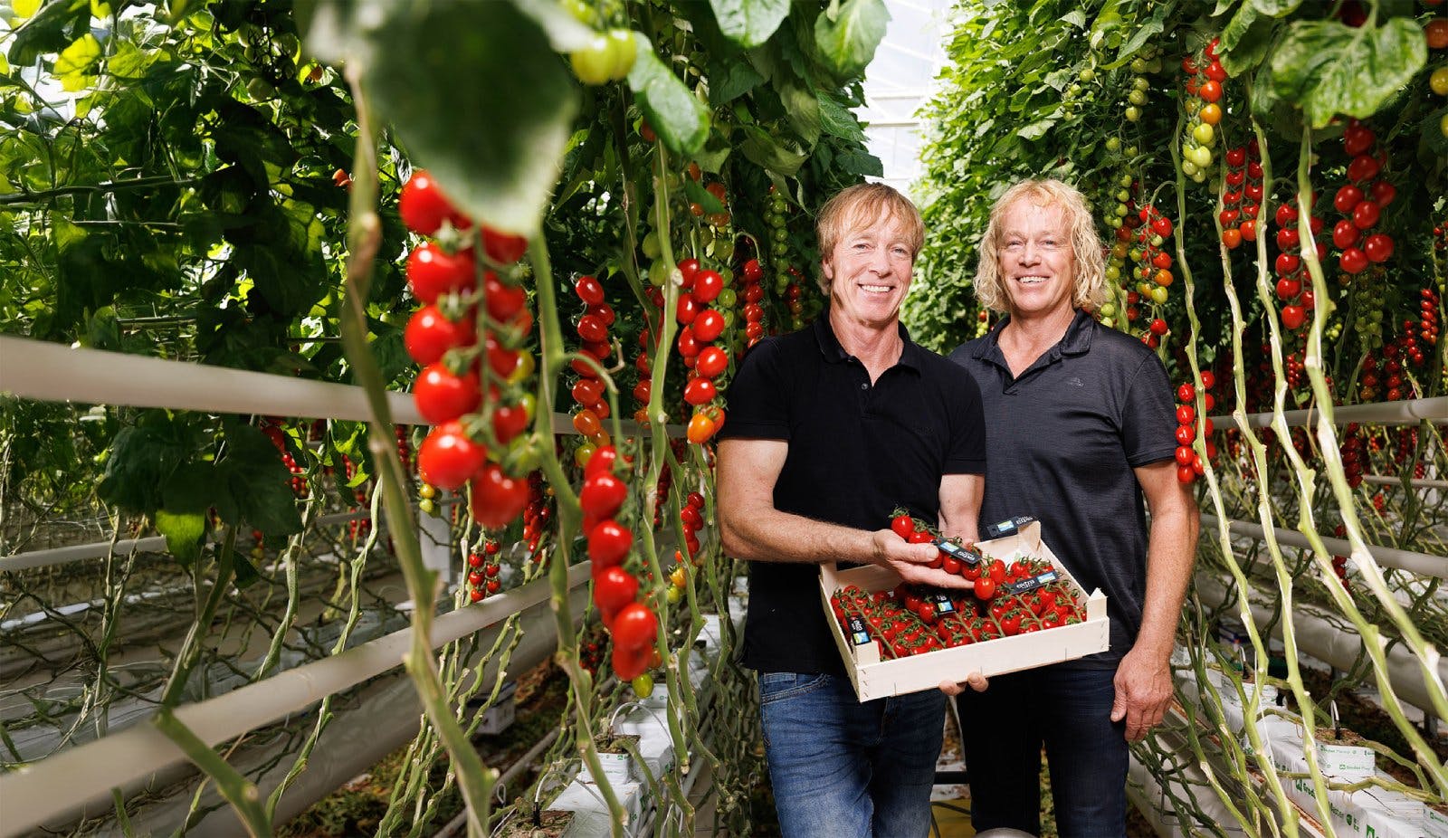 Aromawunder aus dem Aargau.