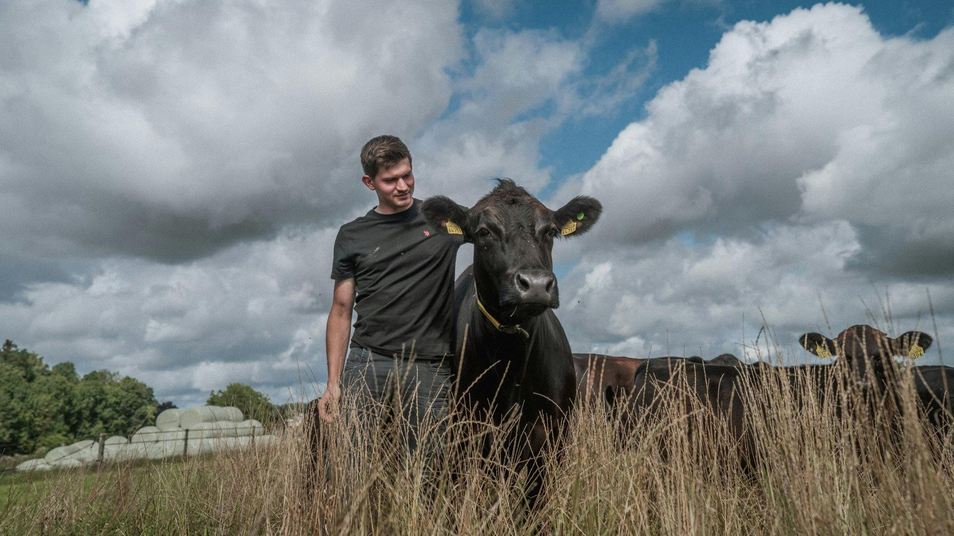 Une relation de confiance réciproque: l’agriculteur Joel Müller avec l’une de ses vaches Angus.