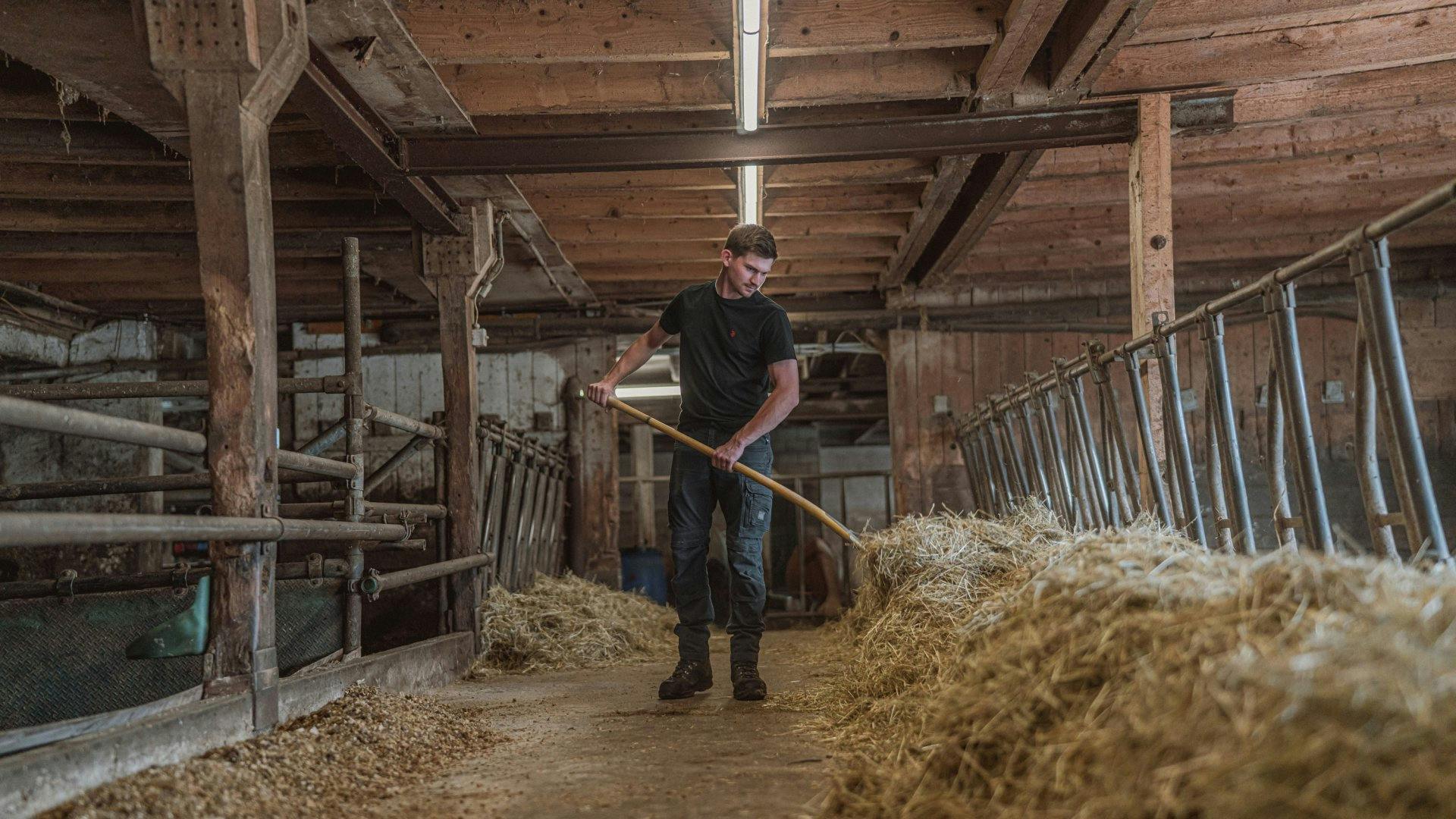 Seule la nourriture produite à la ferme est mise dans les mangeoires.