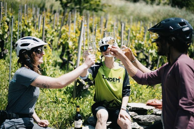 Au cœur des vignes, déguste le meilleur du vin valaisan. Santé!