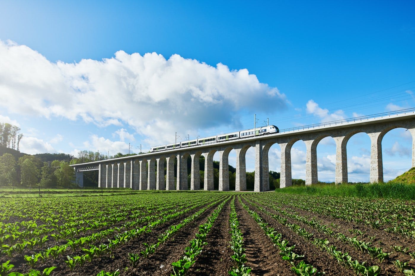 Reise mit dem Zug Neuchâtel zum Centre Dürrenmatt und erfahre mehr über den Autor.
