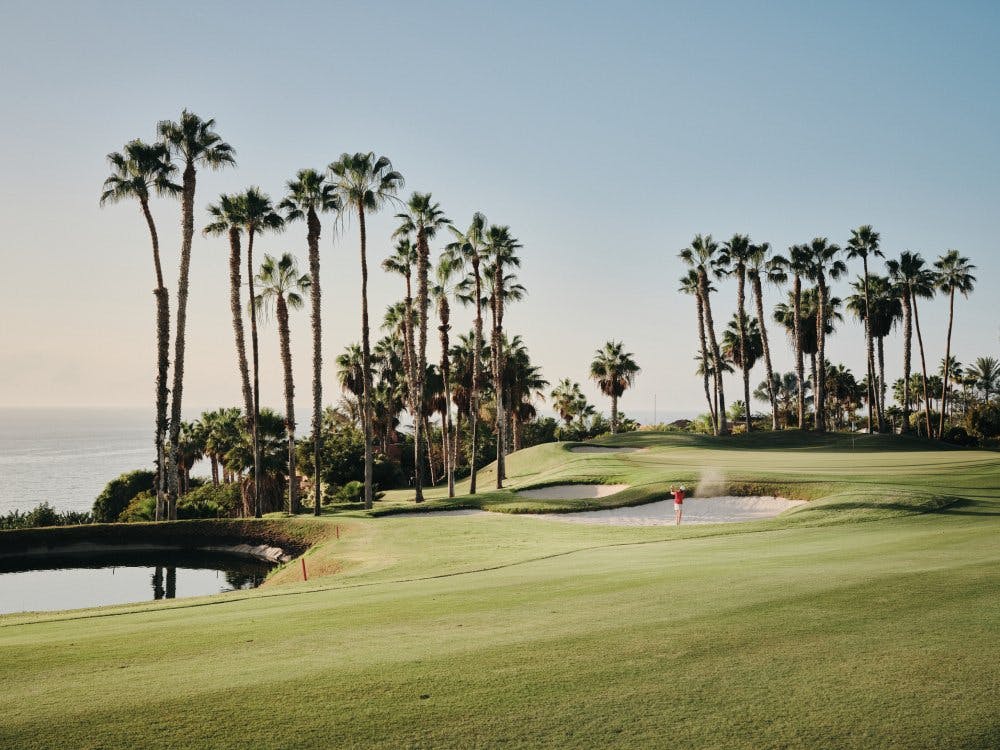 Découvrez la beauté de l'île dans un cadre unique.