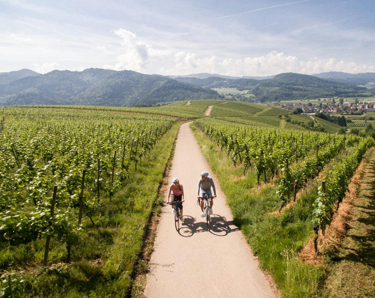 Velo und Vino: Goldene Weinberge, neue Weine, lebendige Altstädte – Baden-Württemberg geniesst den Spätsommer stilvoll.