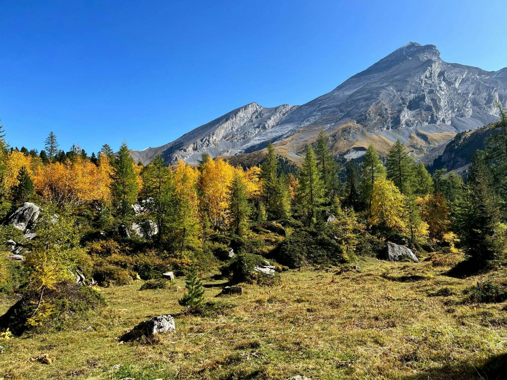 Goldene Lärchen, schroffe Felsen und klare Luft: Die Region Sunnbüel–Gemmipass bietet pures Bergerlebnis.