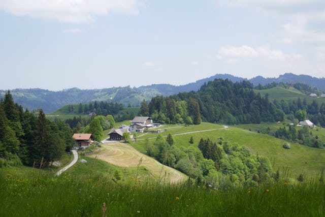 Der Aufstieg zur Lüderenalp wird mit Alpwiesen und am Ende mit einer Terrasse mit Alpenpanorama belohnt.